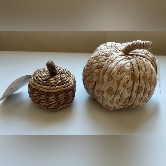 Threshold Natural Braided Rope Pumpkin Set - Picture 2 of 6